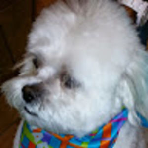 Meet your Posher, Charleeta